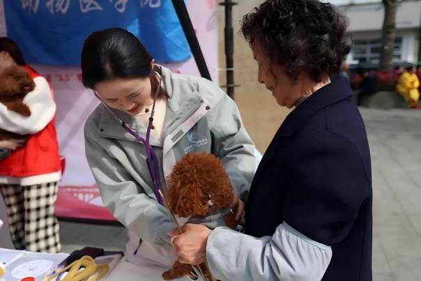 图为美加墨世界杯志愿者协助老师开展宠物义诊